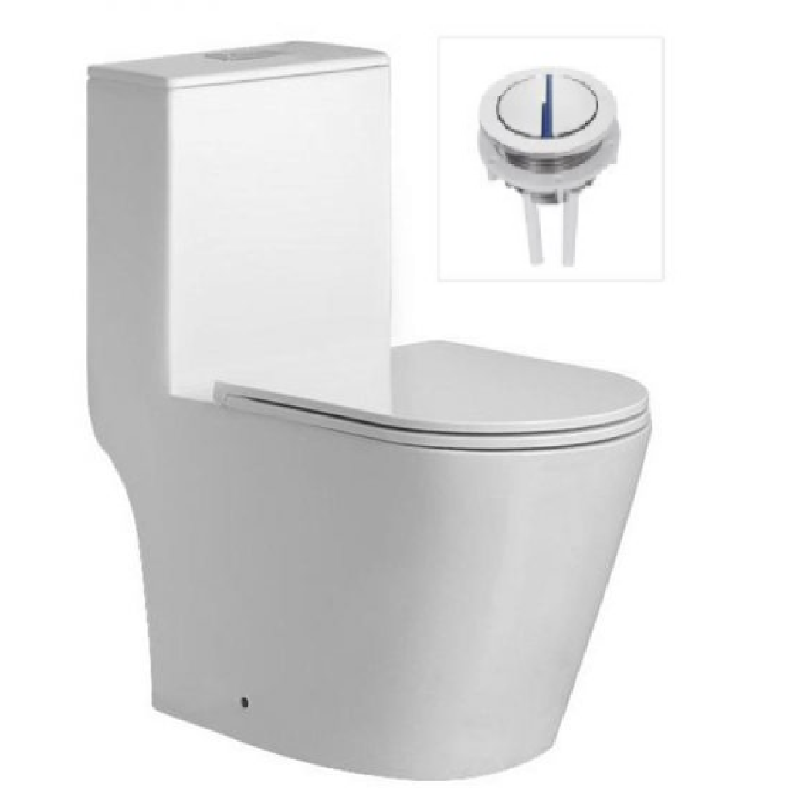 VASILE V597 One-Piece Closet Dual Flush Toilet Bowl